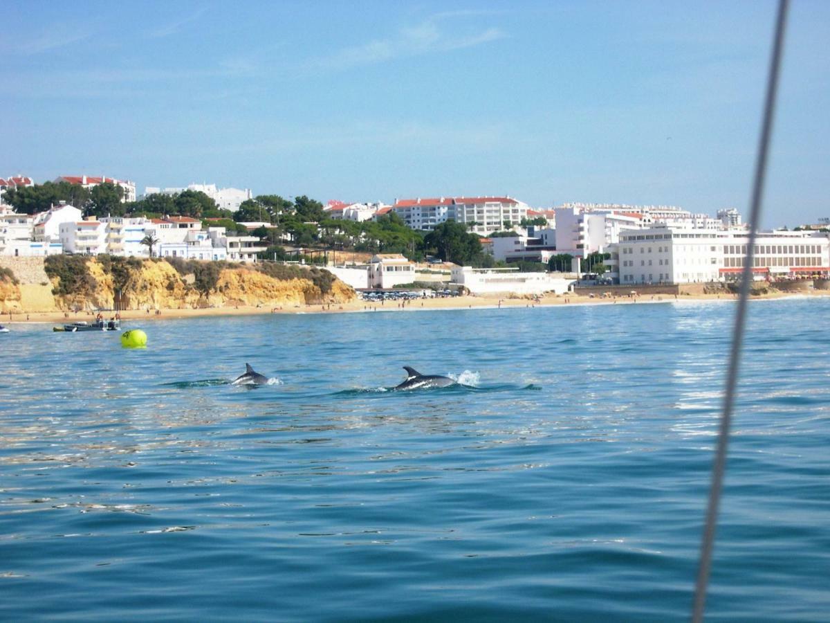 Villa Eber - Independent 1 & 2 Bedroom Apartments, Pool, Air Con, Fast Wi-Fi, Near Old Town Of Albufeira And Beaches מראה חיצוני תמונה
